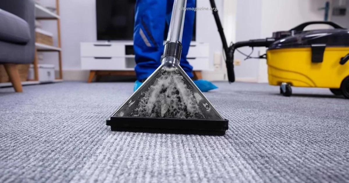 7 Reasons Why You Need Professional Carpet Cleaning San Diego.webp
