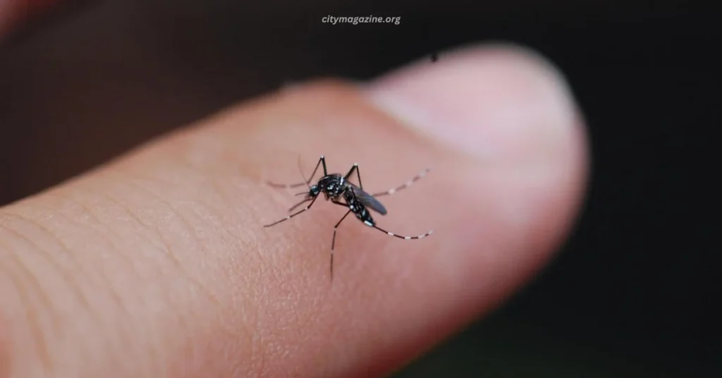 Keeping mosquito
